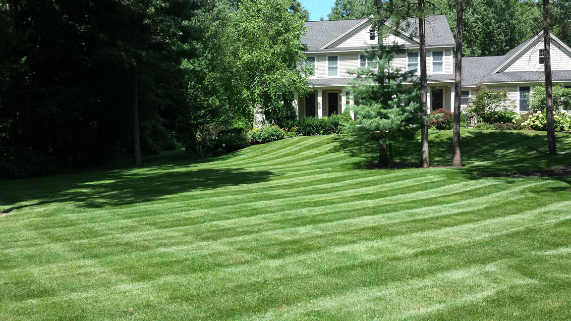 Lawn Care Mowing Service Saratoga, Clifton Park Landscaping
