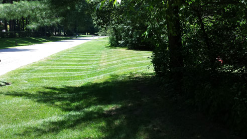 Saratoga Springs Clifton Park Albany Lawn Care Landscaping Service Winnie