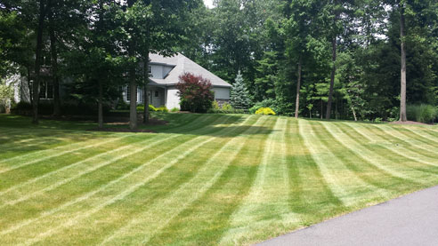 Saratoga Springs Clifton Park Albany Lawn Care Landscaping Service Winnie
