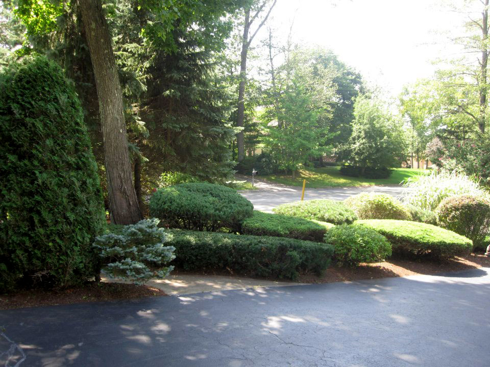 Winnie's Lawn Care Hedges Mowing Service Saratoga Clifton Park