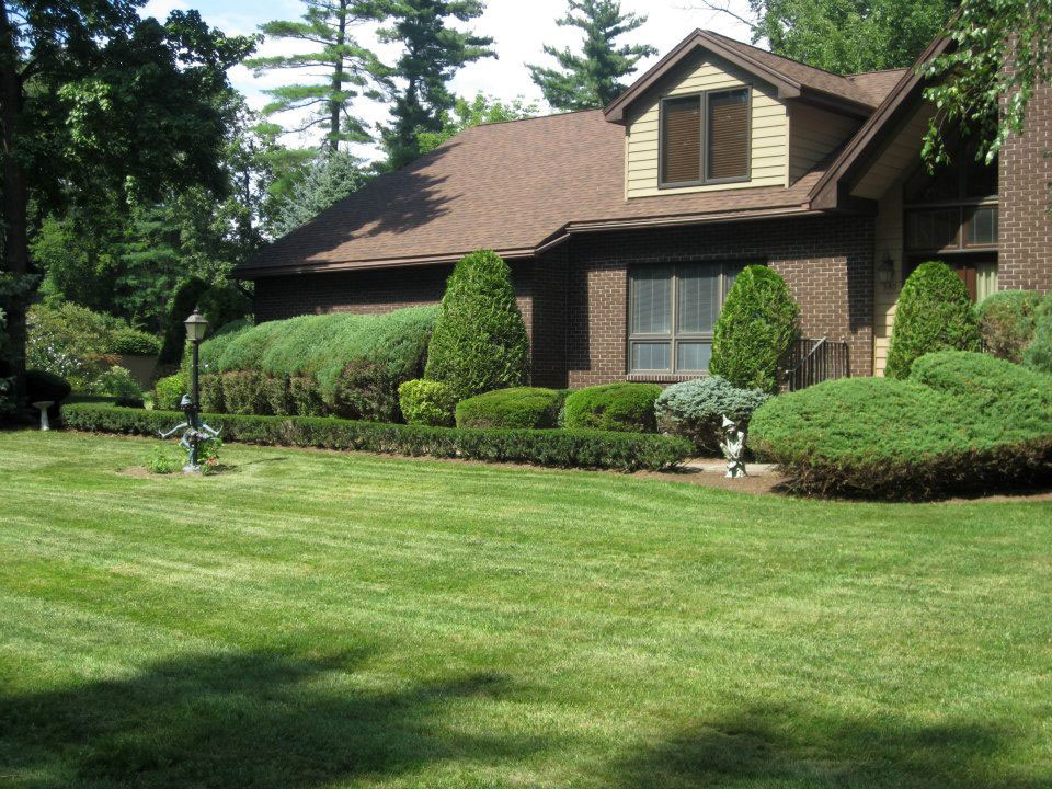 Winnie's Lawn Care Hedges Mowing Service Saratoga Clifton Park