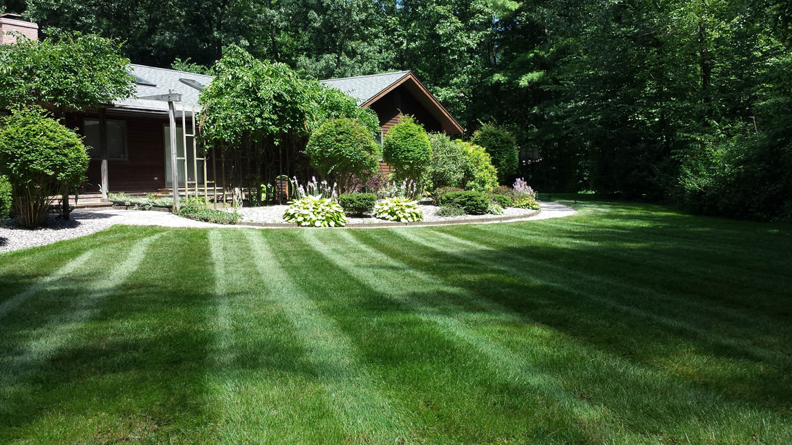 Winnie's Lawn Care Mowing Service Saratoga Clifton Park