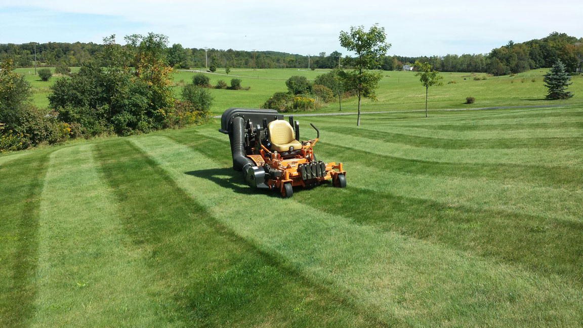 Winnie's Lawn Care Mowing Service Saratoga Clifton Park