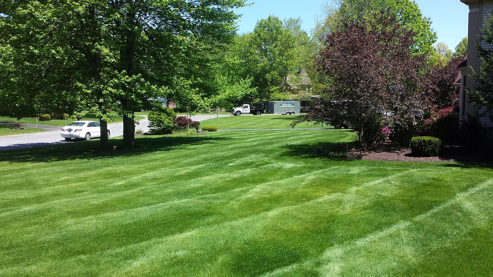 Winnie’s Lawn Care Mowing Service Saratoga Clifton Park Winnie's Lawn Care Mowing Service Saratoga Clifton Park