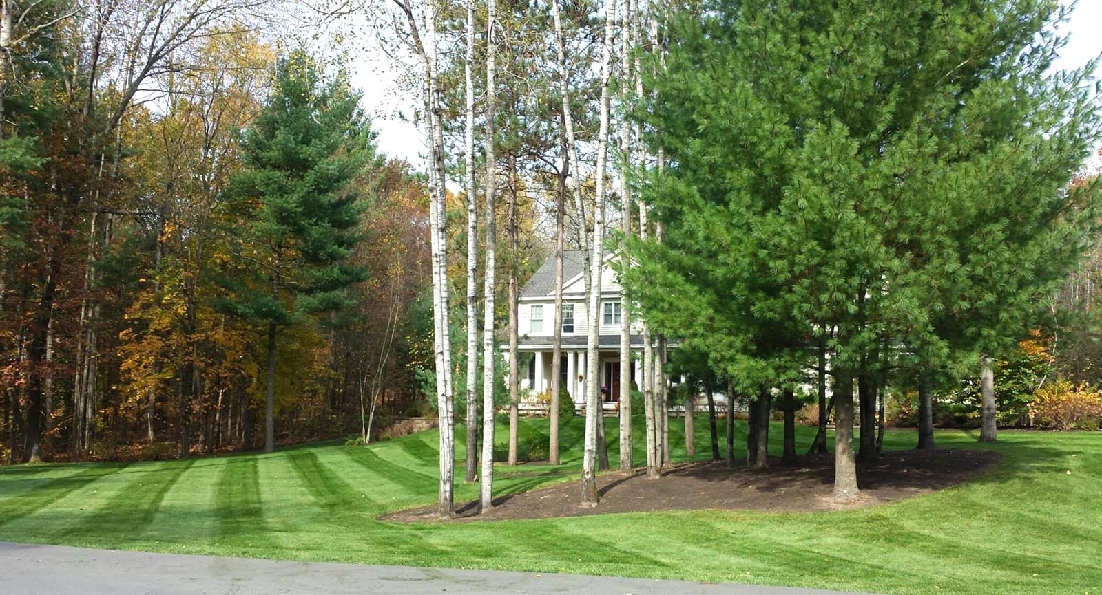 Winnie’s Lawn Care Mowing Service Saratoga Clifton Park Winnie's Lawn Care Mowing Service Saratoga Clifton Park