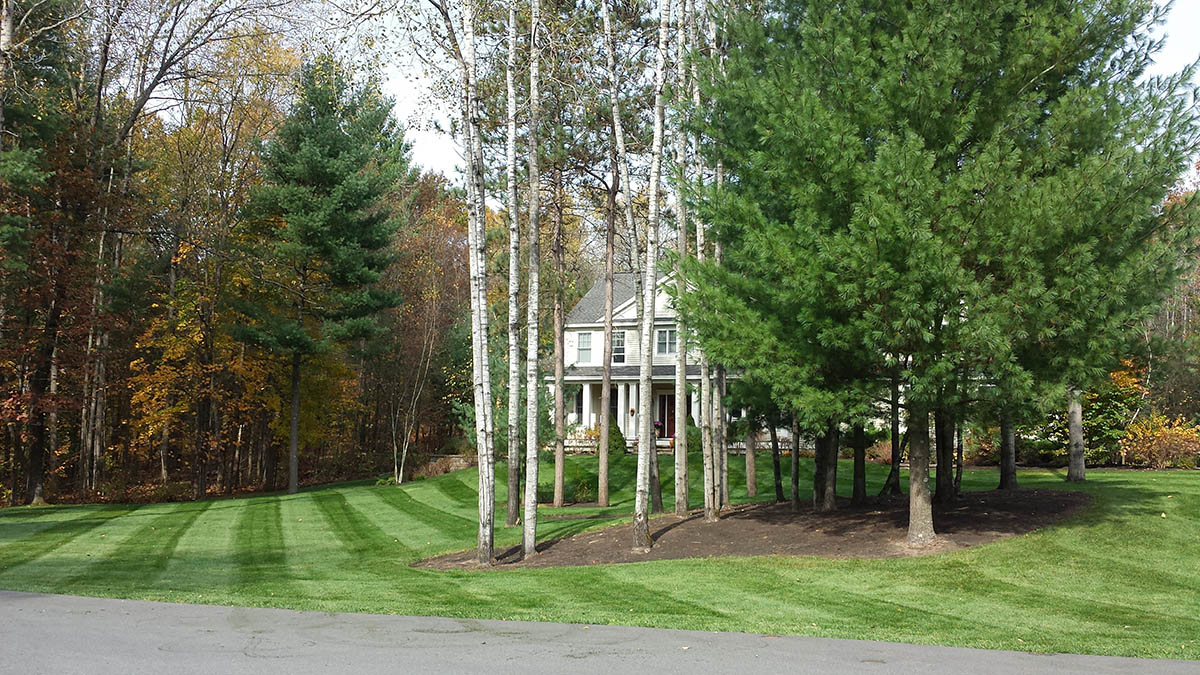 Fall Yard Clean Up Services Clifton Park Saratoga Hauled Away Leaves