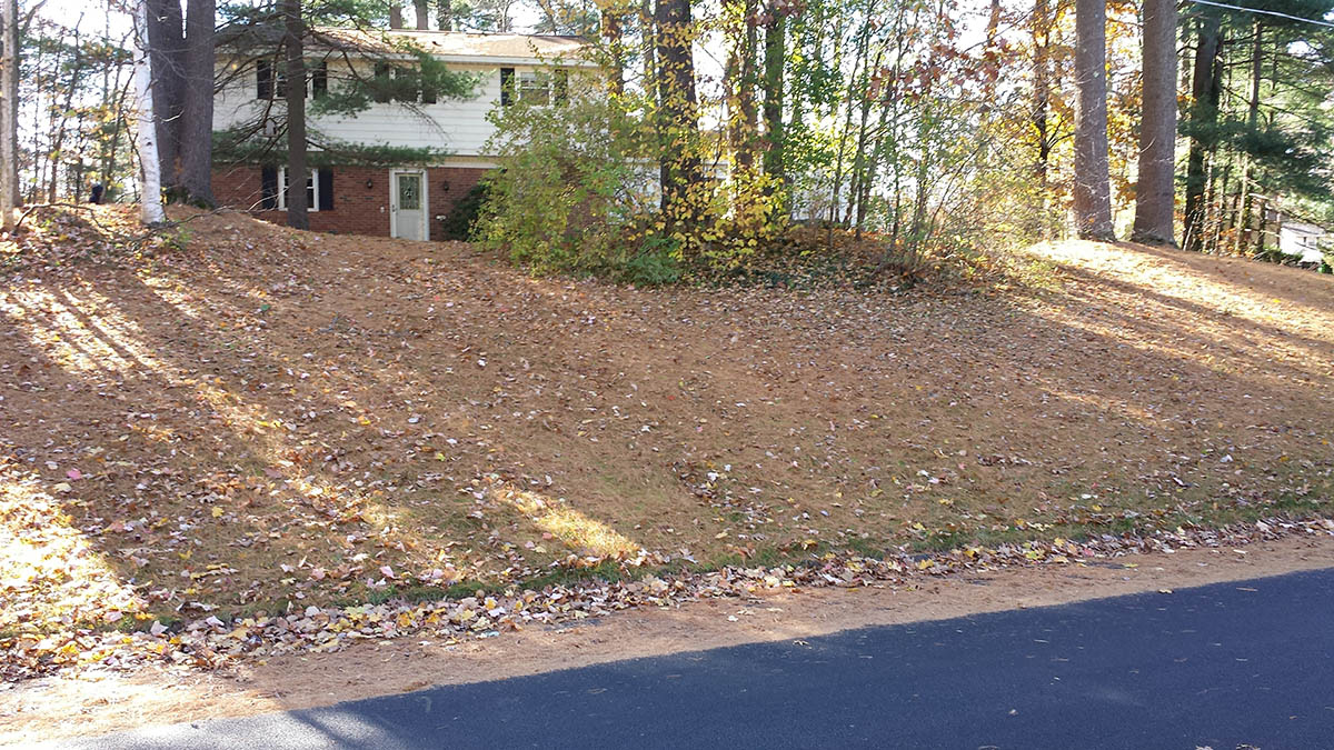 Fall Yard Clean Up Services Clifton Park Saratoga Hauled Away Leaves