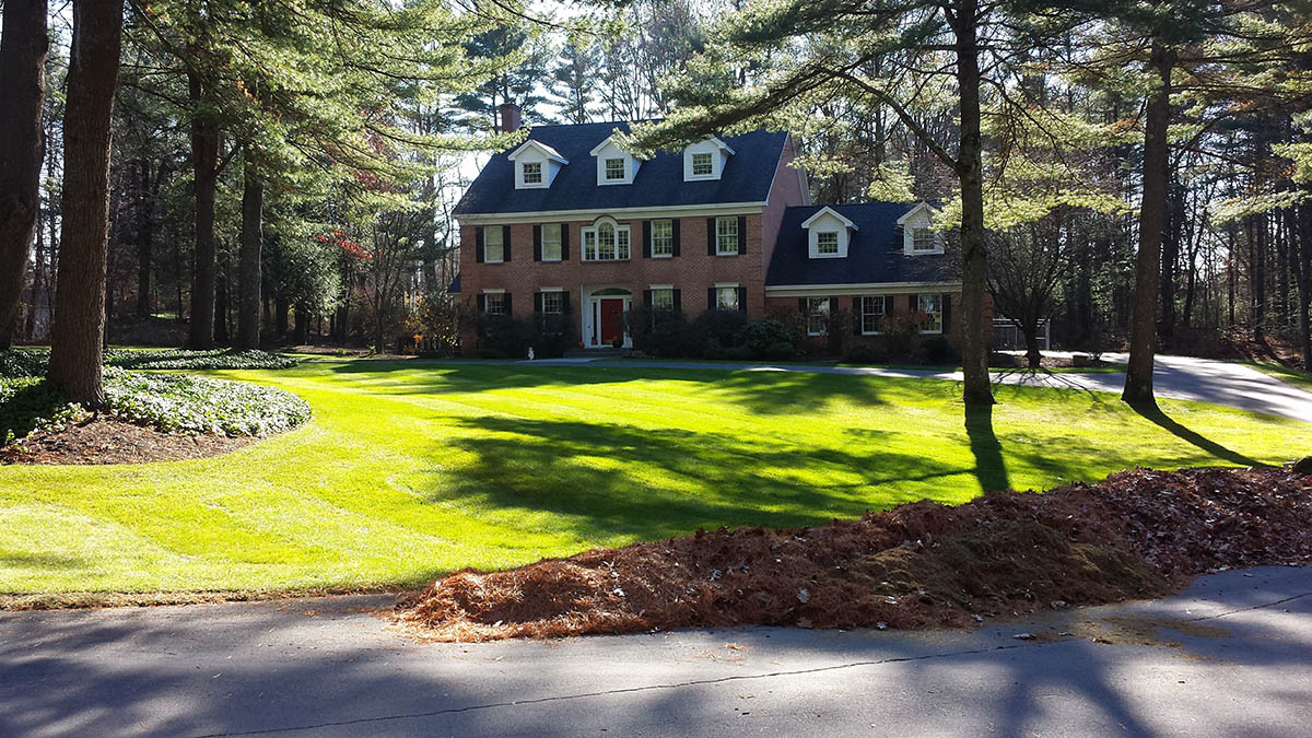 Fall Yard Clean Up Services Clifton Park Saratoga Hauled Away Leaves