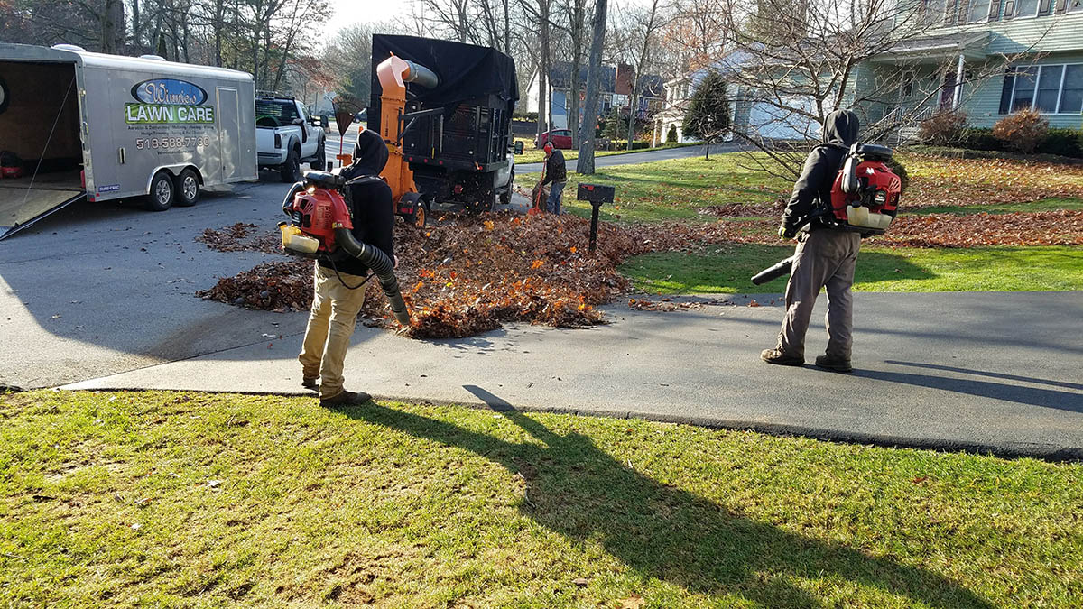 Fall Yard Clean Up Services Clifton Park Saratoga Hauled Away Leaves