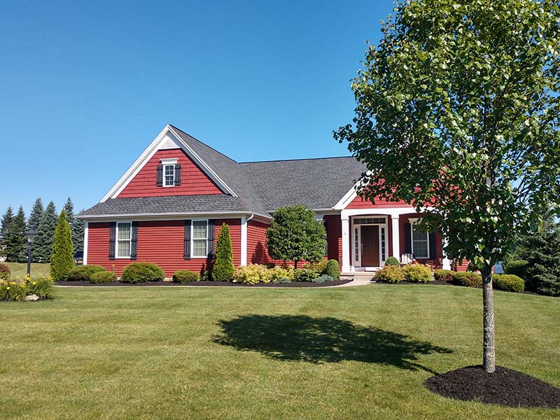 Plant Hedge Trimming Plant Hedge Trimming